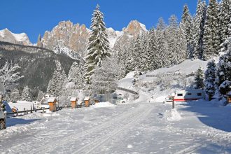 Vidor Family & Wellness Resort